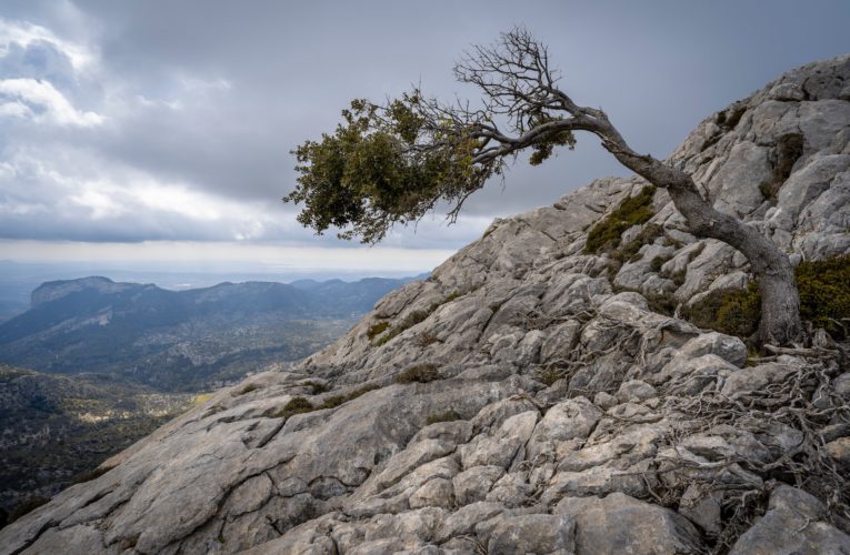 Gresham: The Importance of Resilience in Overcoming Trauma