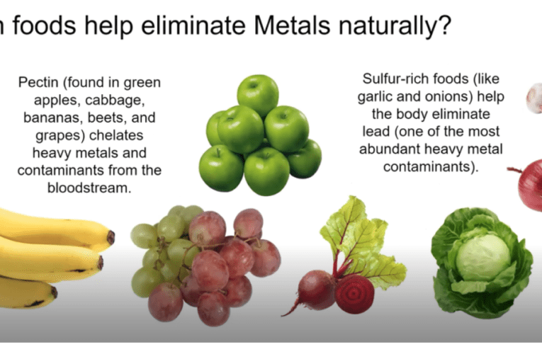 Eliminate Heavy Metals Naturally in Gresham